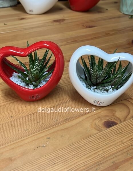 Cuore piccolo ceramica con piante grasse