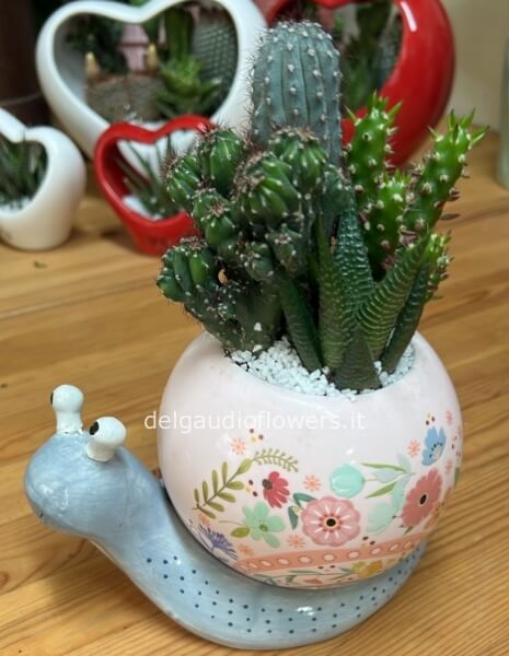 Lumaca grande ceramica con piante grasse