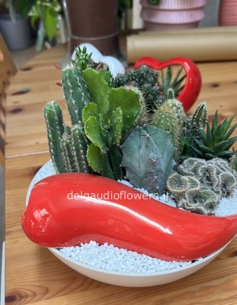 Corno in ceramica con piante grasse